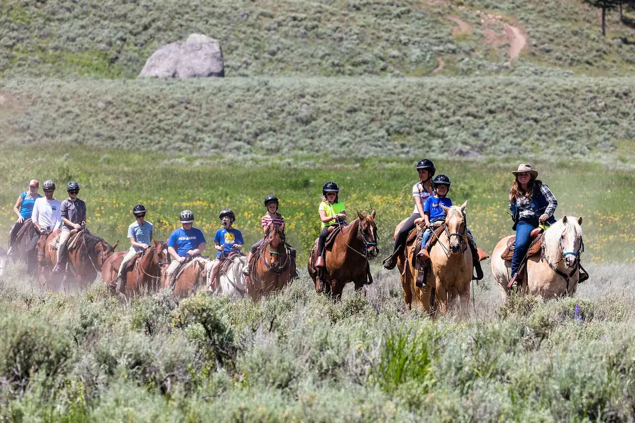 A guided trail ride in Yellowstone