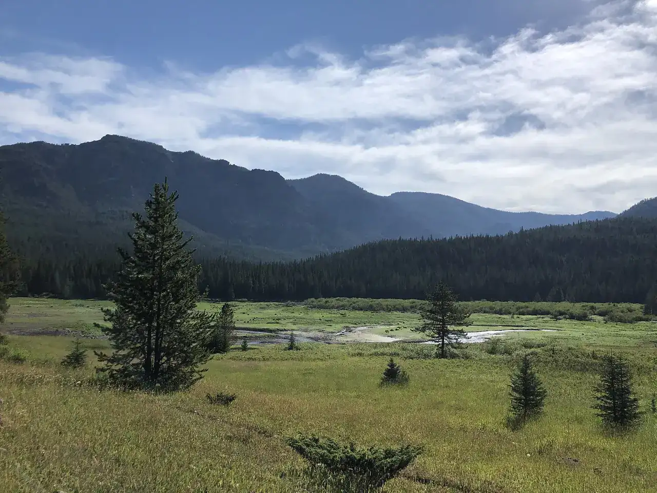 Summer meadows and peaks in the Gallatin Range