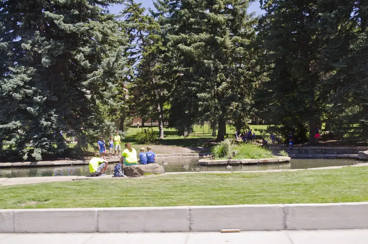 Montana State University
