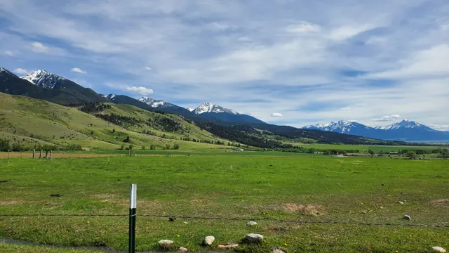 Green valley floor with mountains in Paradise Valley