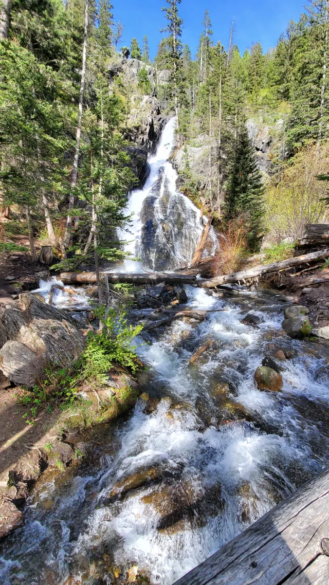 Waterfall cascading through a forest in Paradise Valley