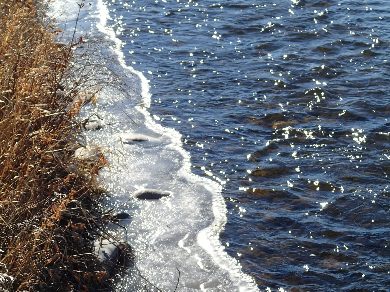 The Madison River near Ennis, Montana in winter